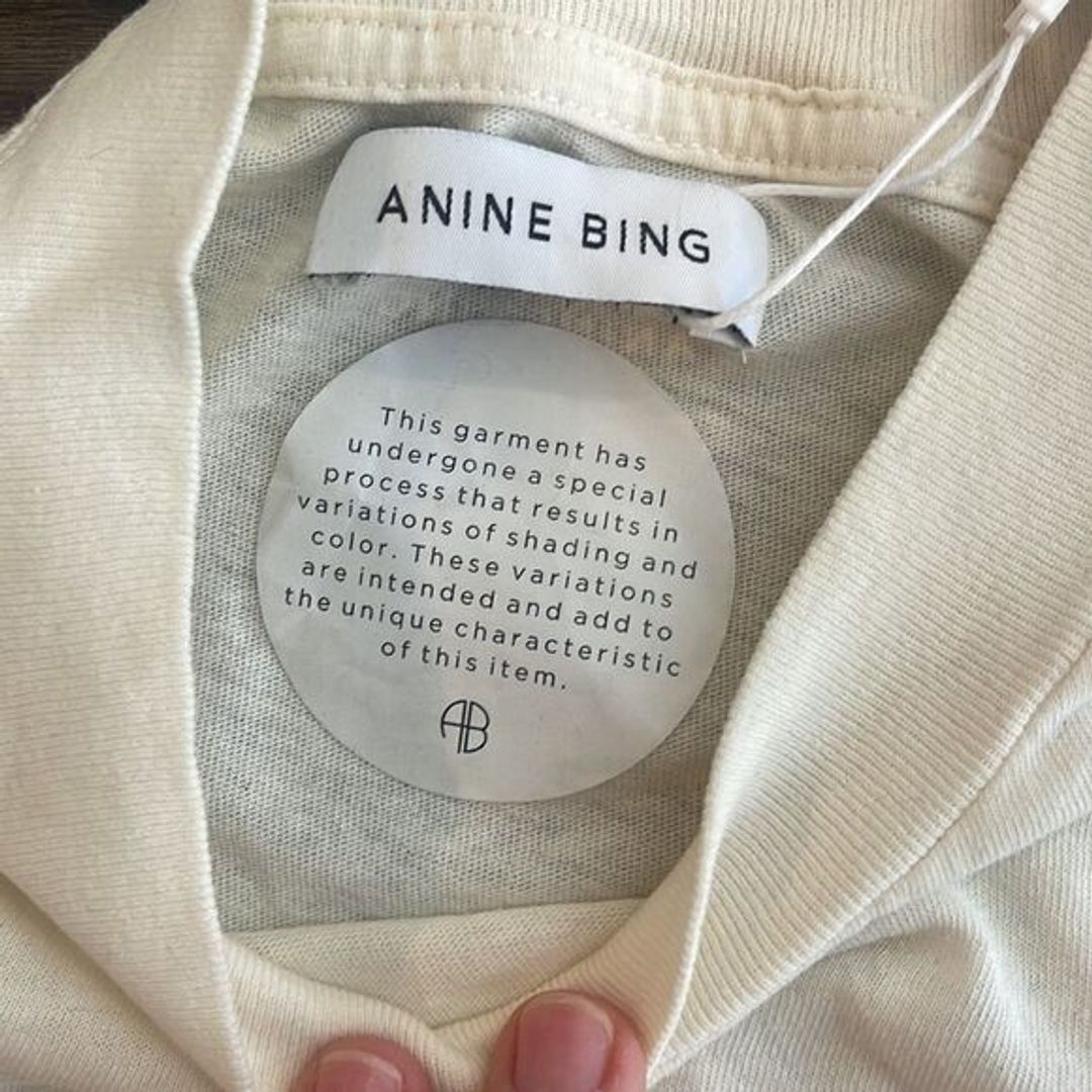 NWT Anine Bing "Ashton Vintage Bing Tee" size XS! SOLD OUT ONLINE