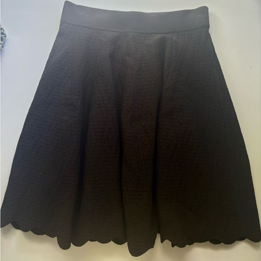 Jonathan Simkhai Textured Black Flared Skirt Small