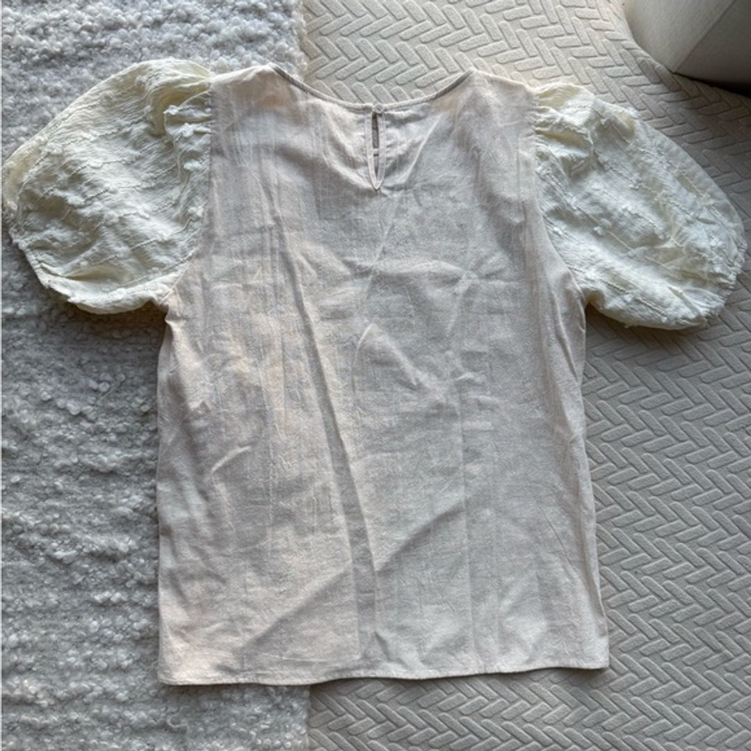 Cream Puff Sleeve Top