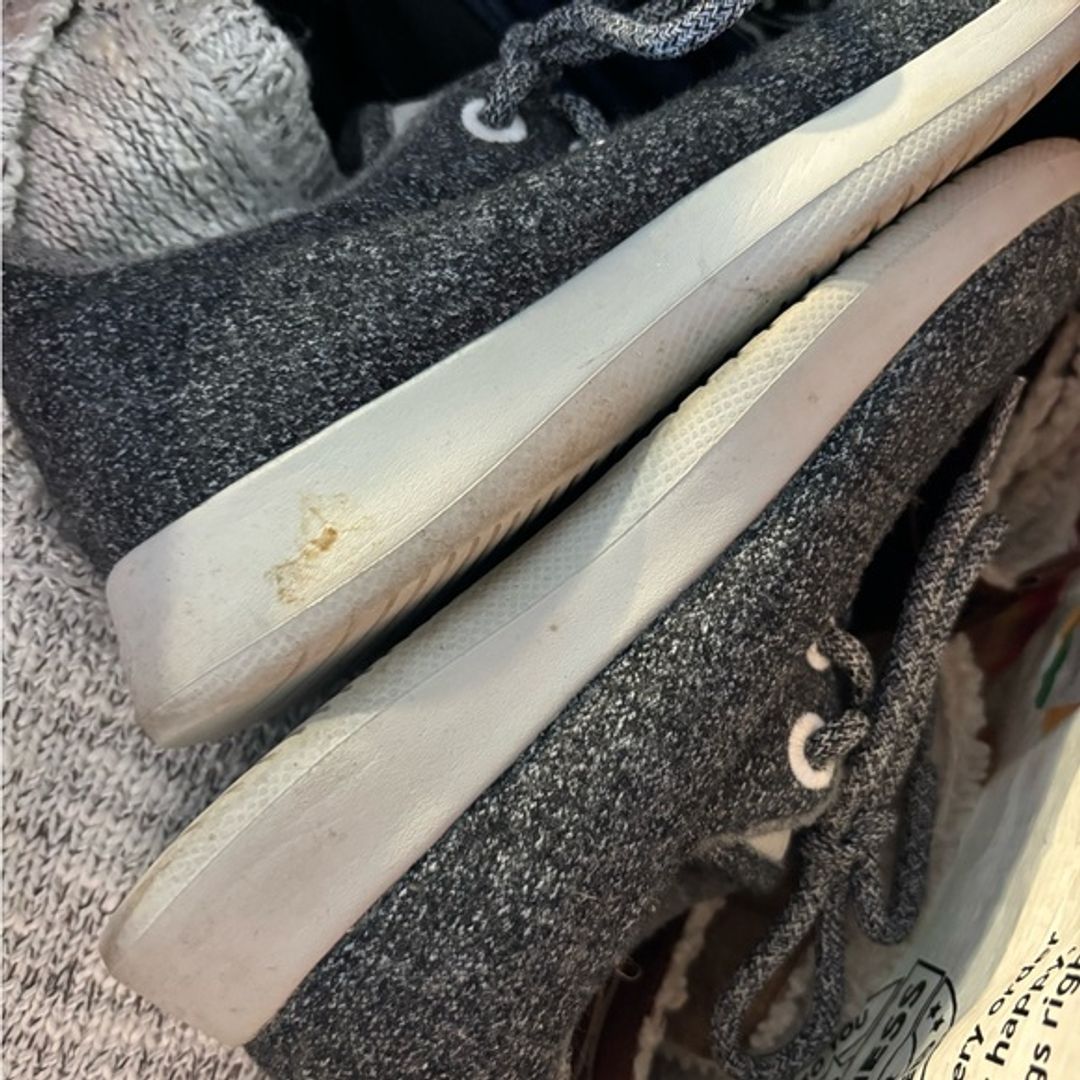 All Birds Women's Sneakers