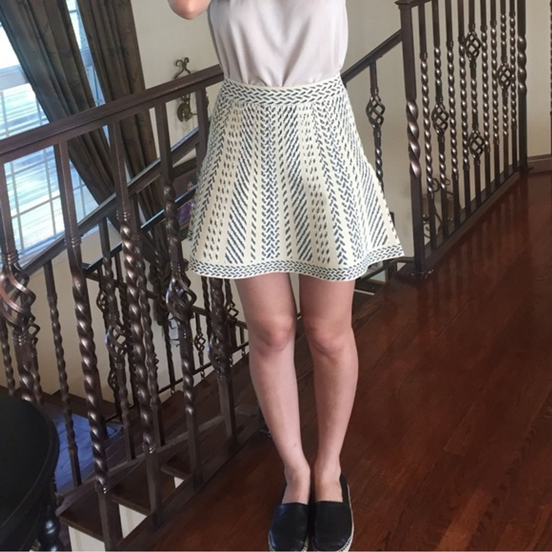 Bcbgmaxazria Queeny Skirt