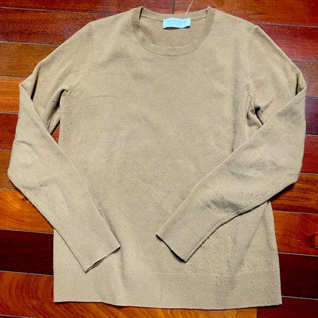 Everlane 100% Cashmere Crew Sweater