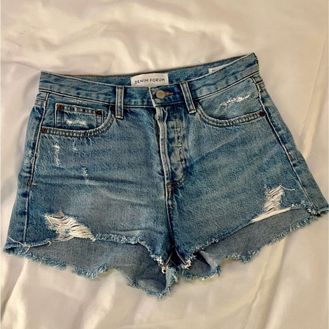 Aritzia The Ex Boyfriend Denim Shorts