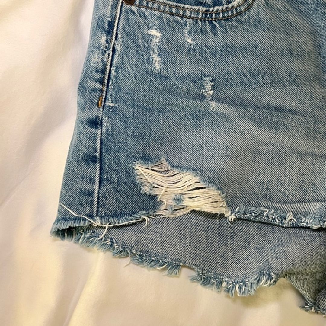 Aritzia The Ex Boyfriend Denim Shorts