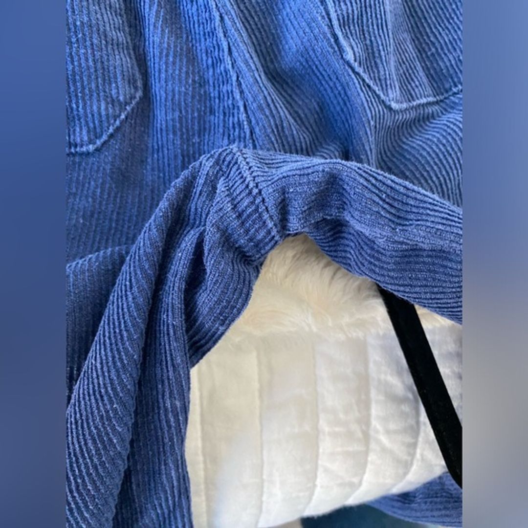 Rollas Blue Wide Leg Corduroy Pants