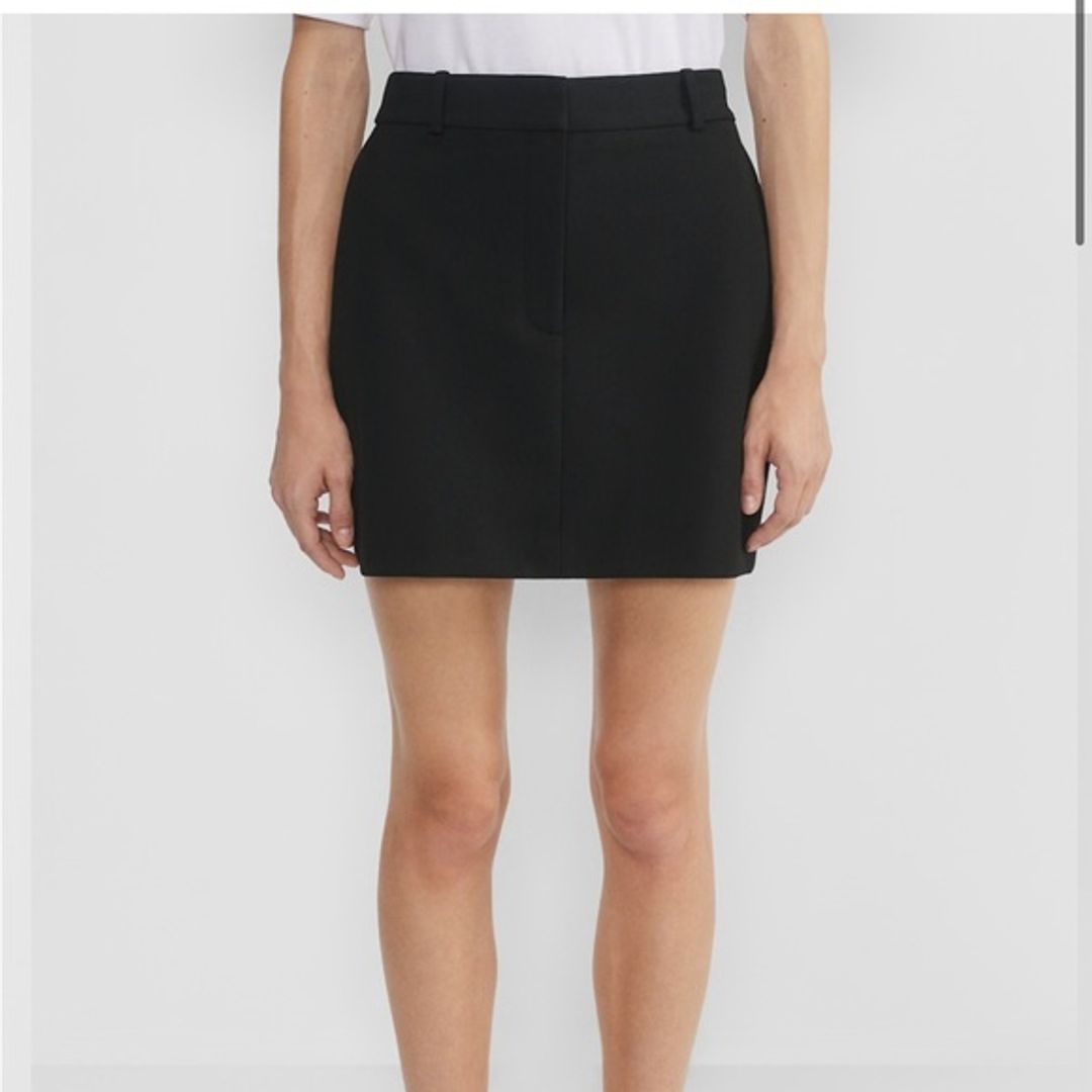 Aritzia Babaton Chisel Mini Skirt
