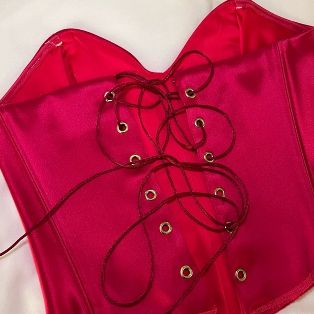 Aritzia Ten by Babaton Corset in Hot Pink Satin