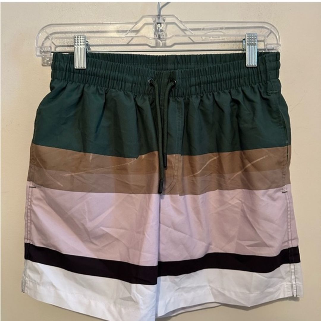 Men's Phibbs Striped Swim Shorts Green Pink