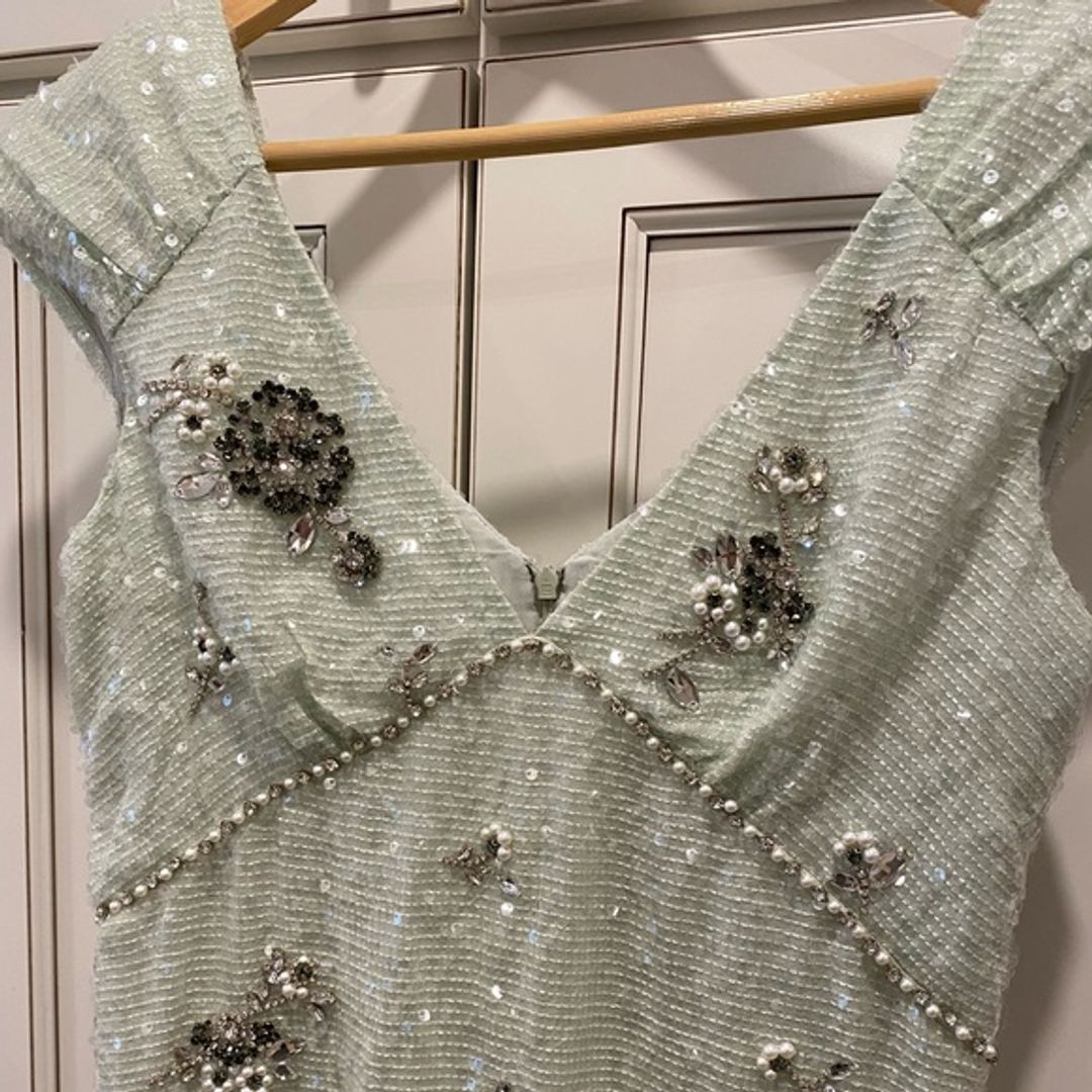 Erdem Mint Green Sequin & Embellished Dress