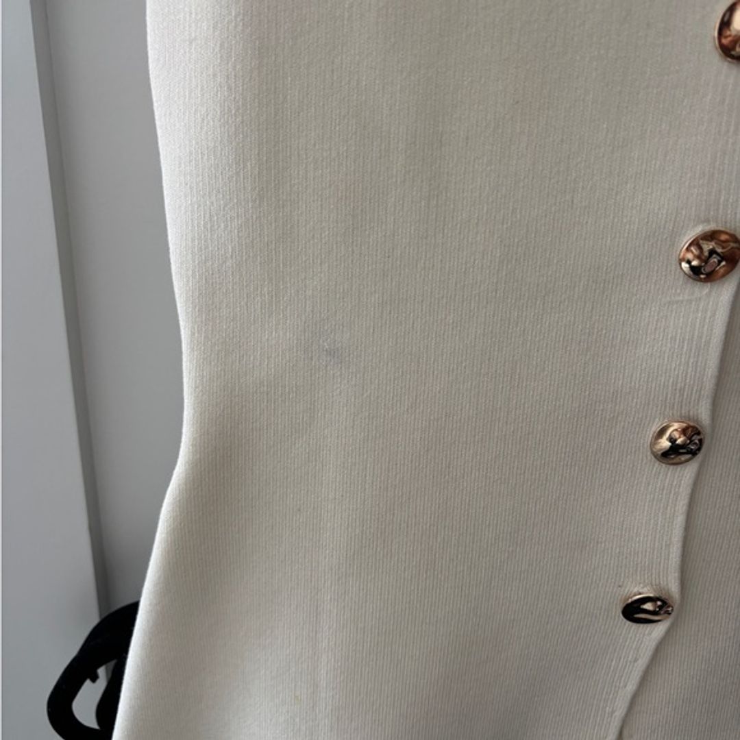 Zara Ivory Knit Top with Metallic Accent