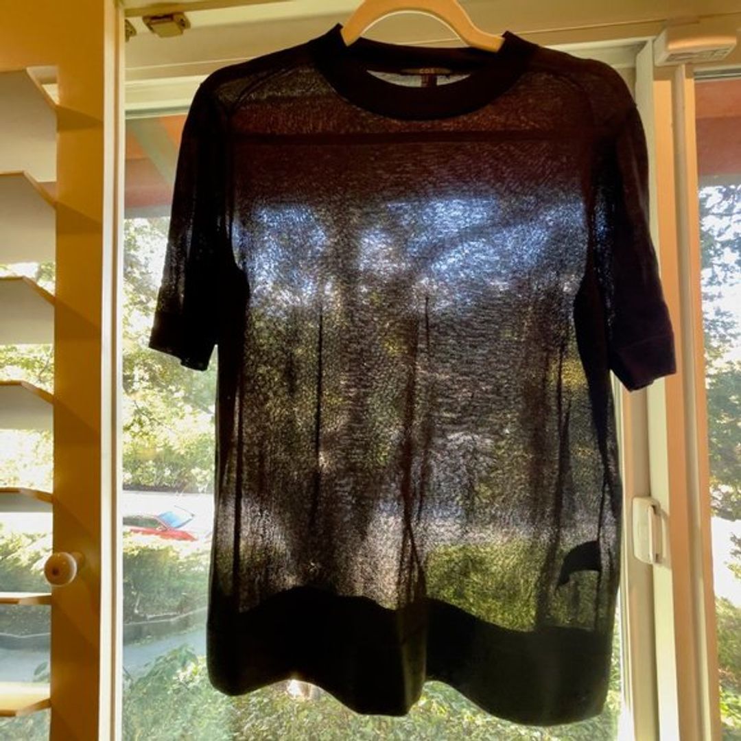 Sheer Black T-Shirt
