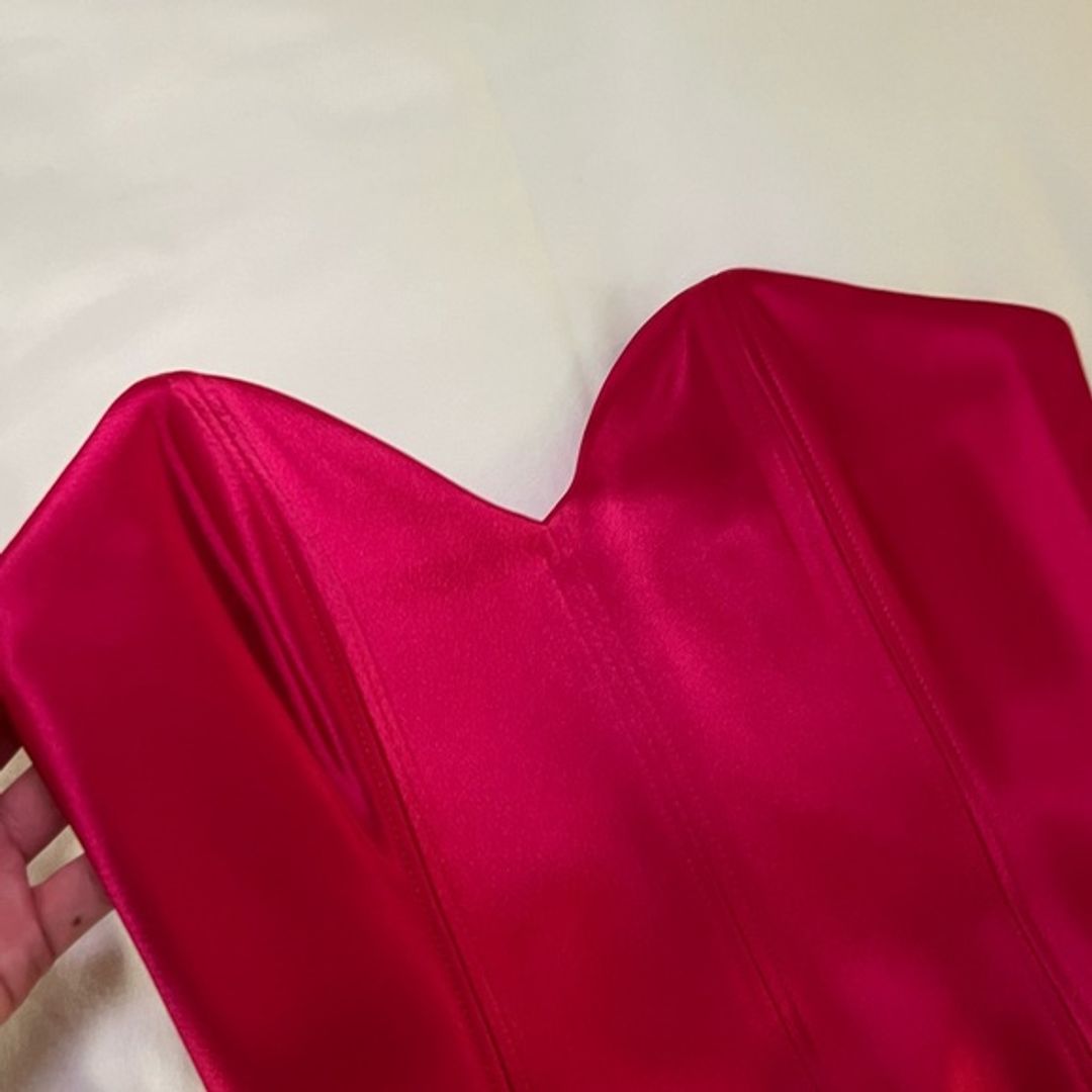 Aritzia Ten by Babaton Corset in Hot Pink Satin