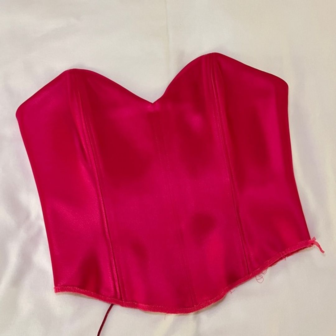 Aritzia Ten by Babaton Corset in Hot Pink Satin