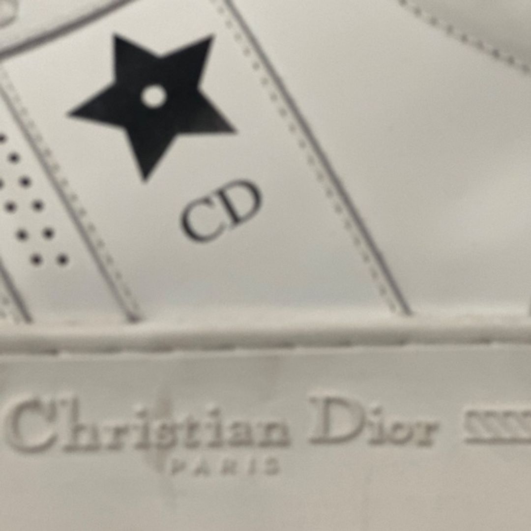 Dior Star Platform Sneakers