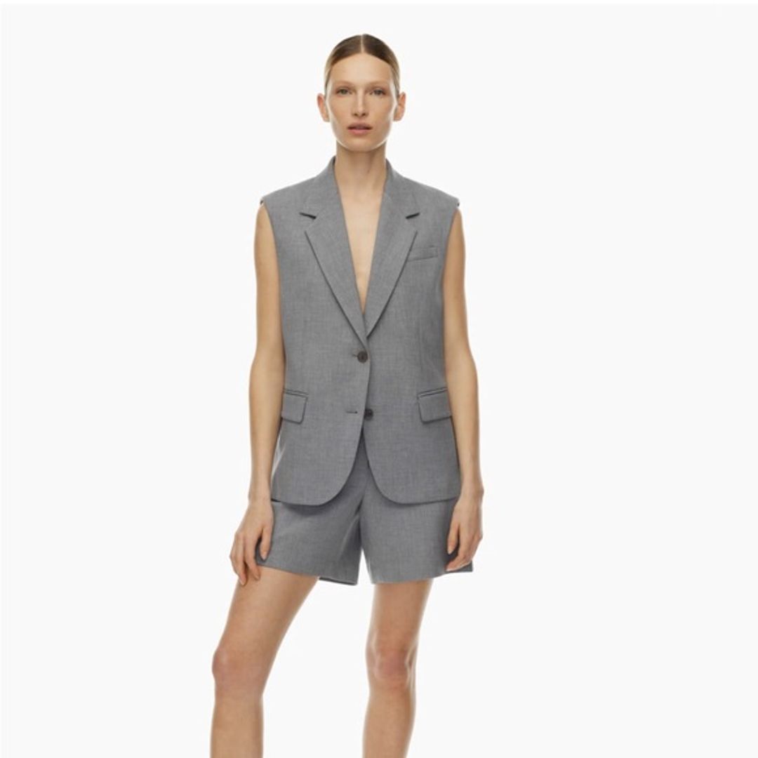 Aritzia Babaton Takeover Vest