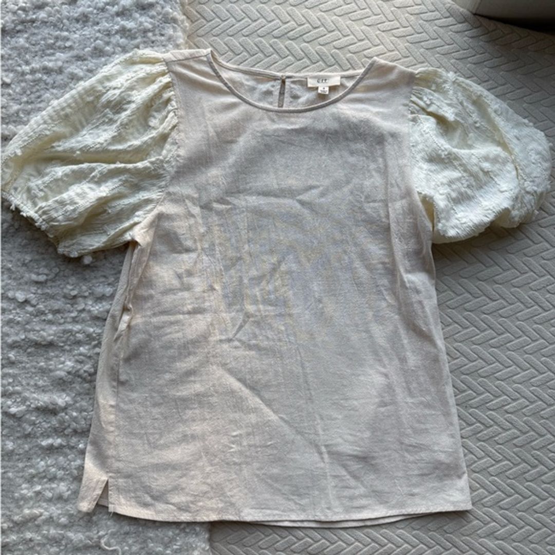 Cream Puff Sleeve Top