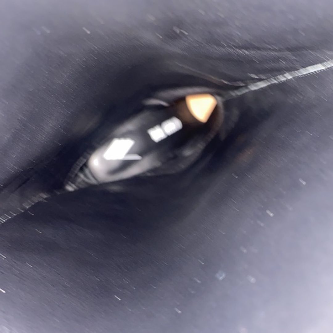 The Attico Devon Tall Suede Boots