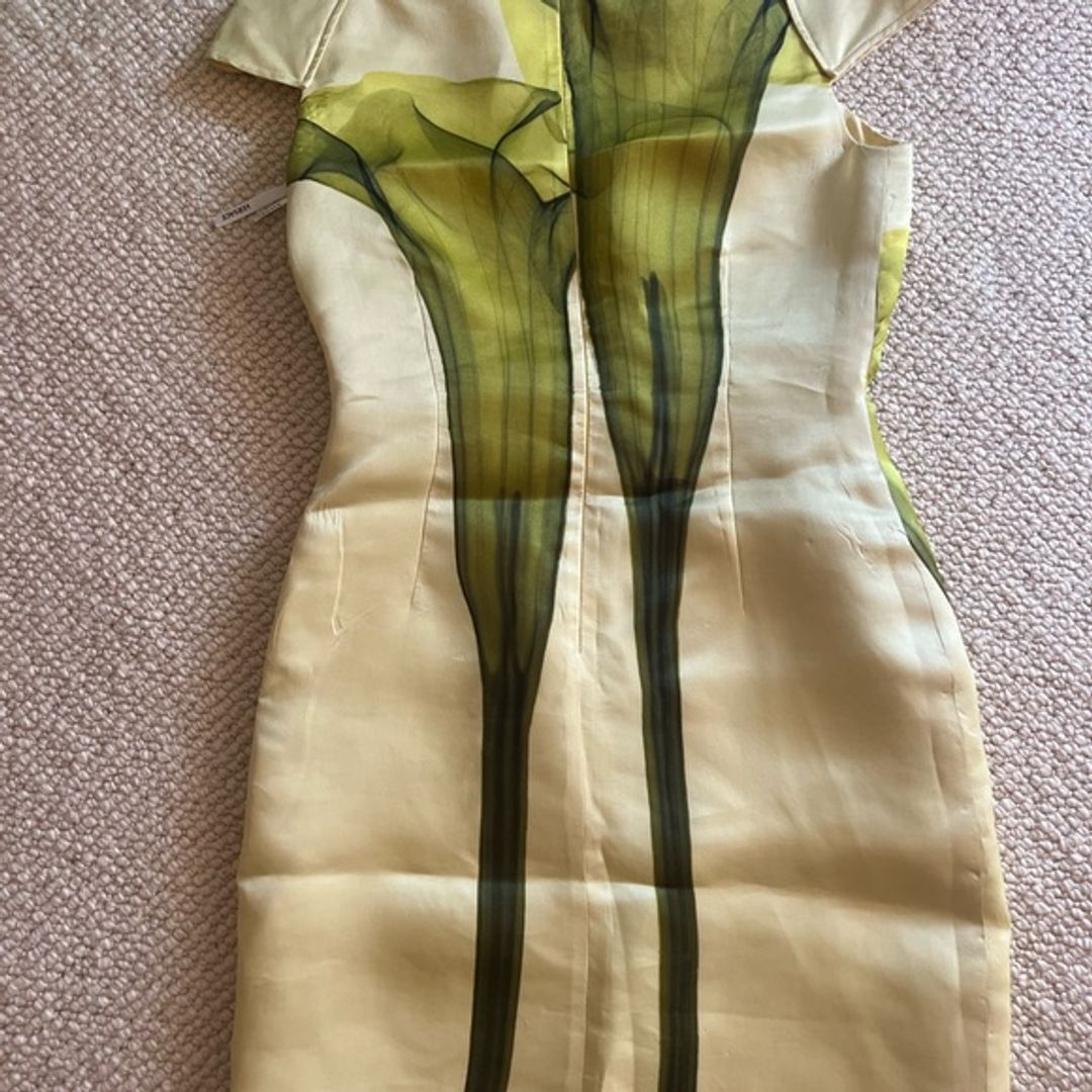 AUTHENTIC VINTAGE Versace 2007 runway dress