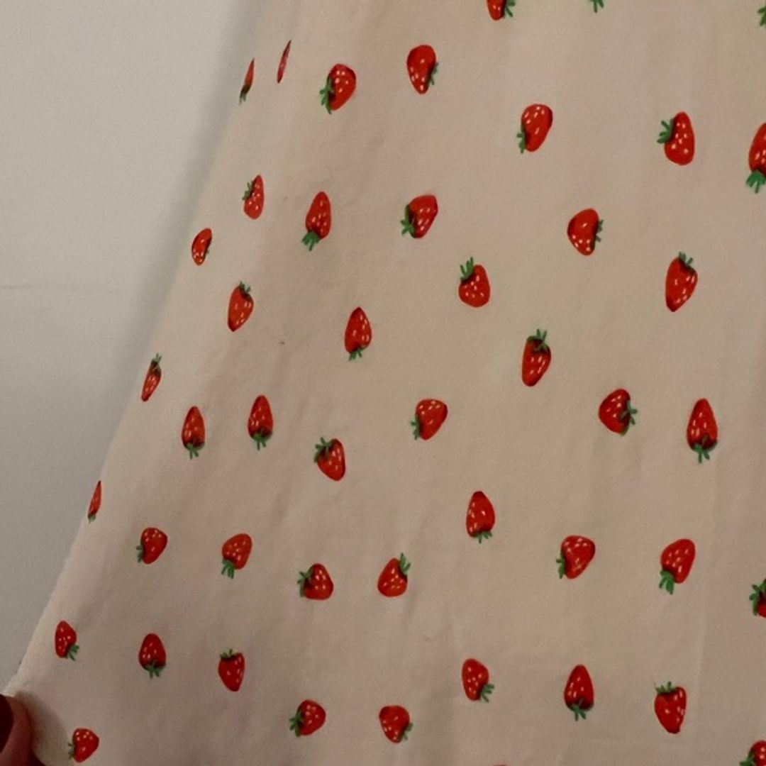 Zara Viral Strawberry Plunge V Neck Satin Dress