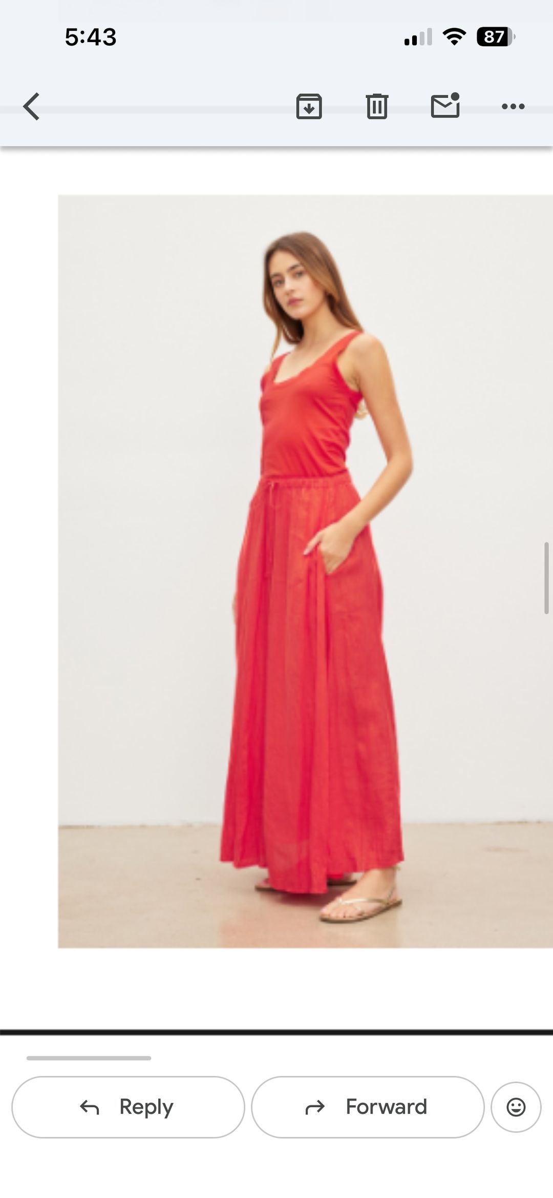 NWT velvet by graham and Spencer Bailey linen maxi skirt