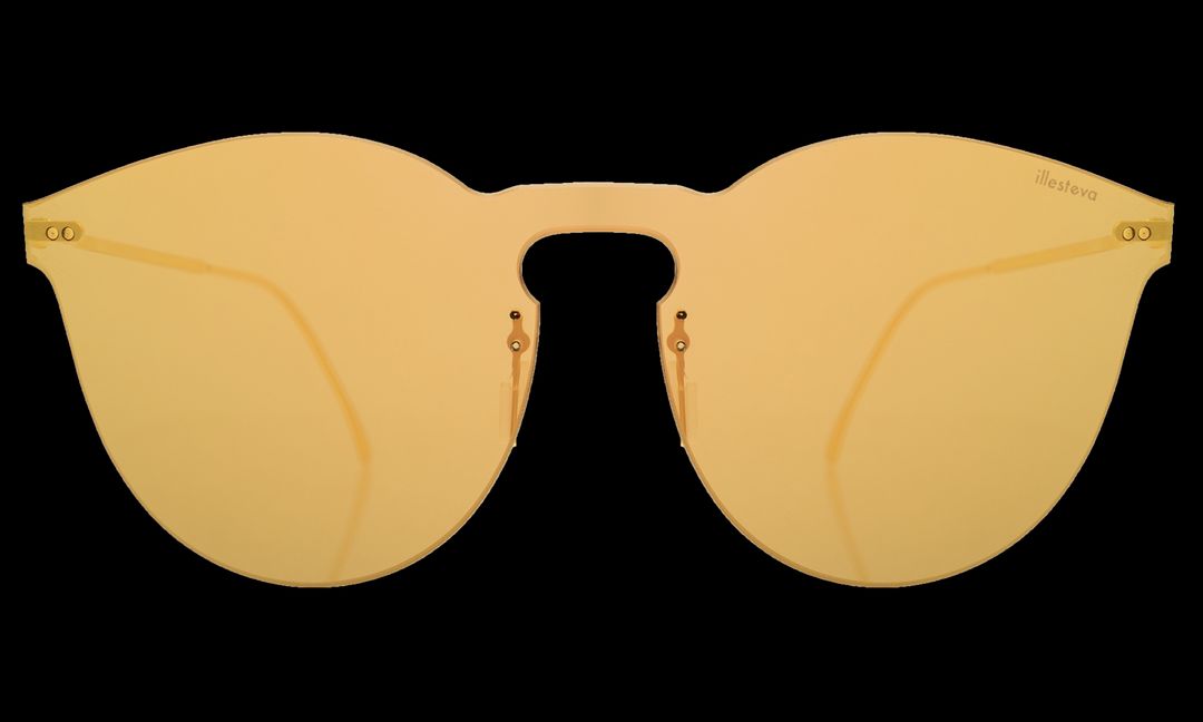 Leonard II Mask Sunglasses #30