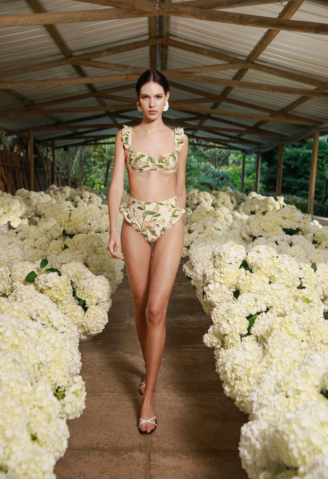 Jengibre Orquidea Bikini bottom