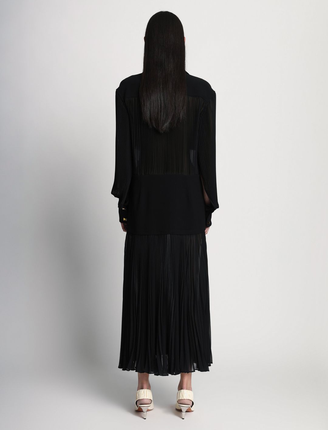 Sheer Pleated Flou Dress #4