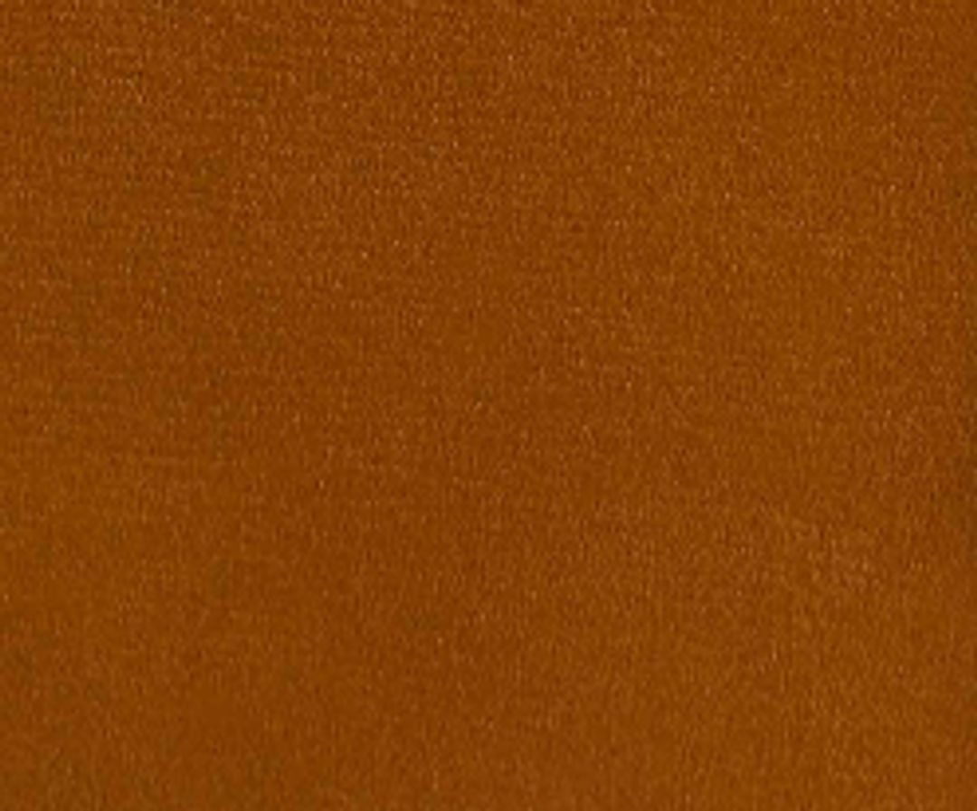 Santa Fe Belt in Dark Honey Leather #3