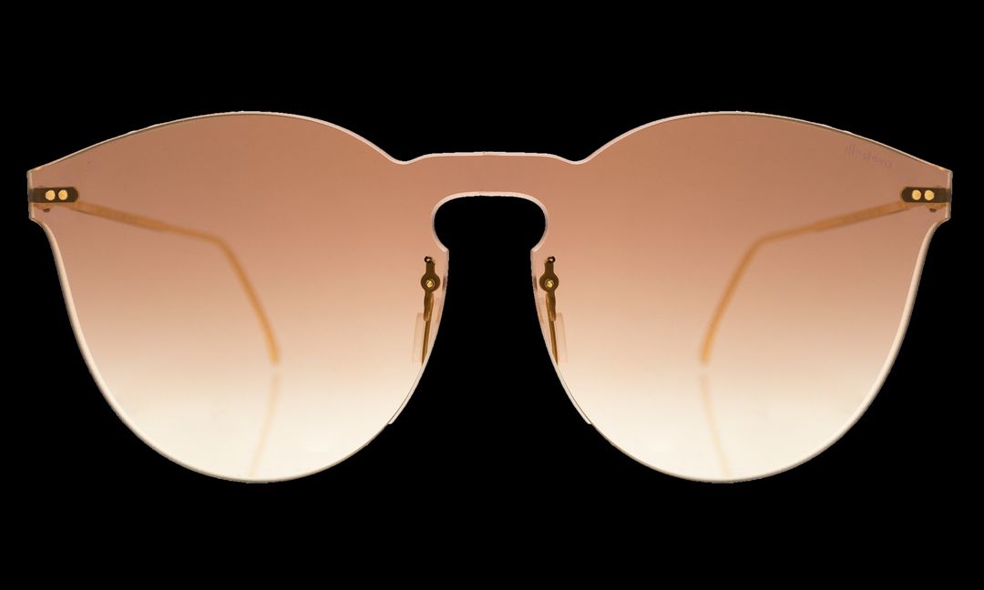 Leonard II Mask Sunglasses #22
