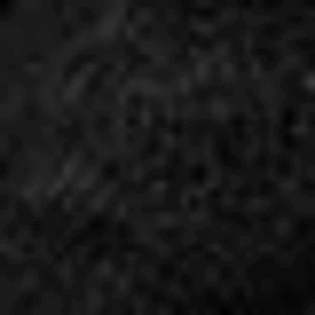 Tillie Pony Hair Pumps #7