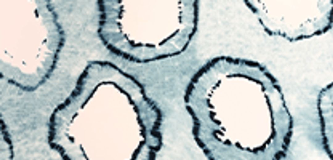 CROPPED PEASANT TOP #6