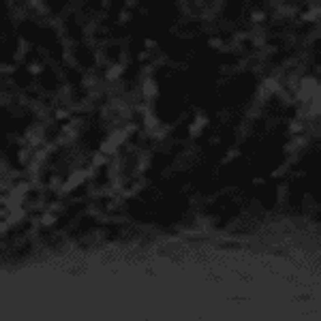 MAUDE MINI BOWLER BAG | BLACK #8