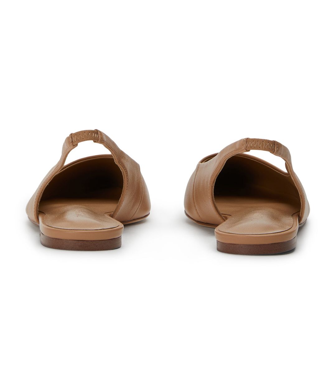 Javier Peru Nappa #6