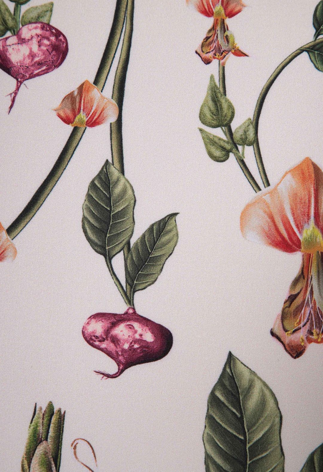 Jengibre Cultivo Bikini Bottom #7