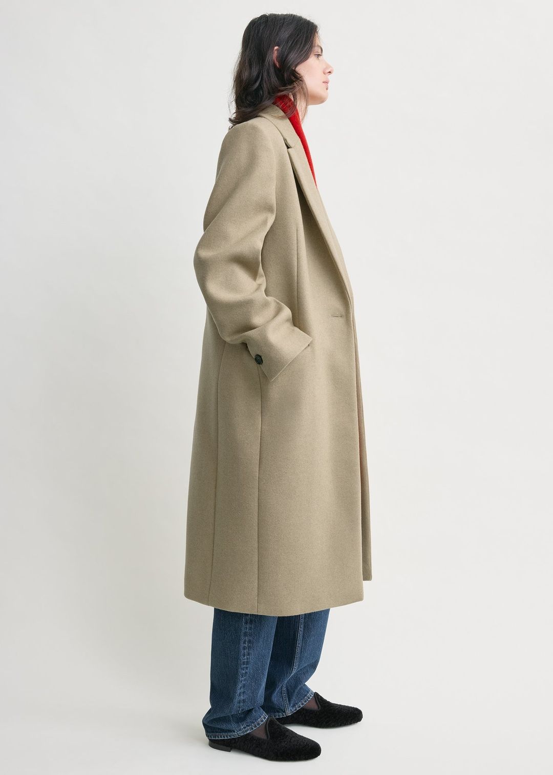 Classic winter coat biscuit #2