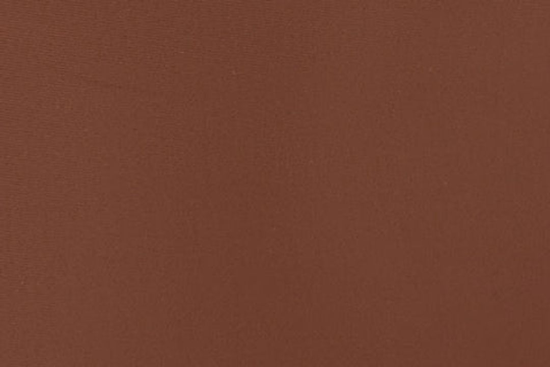 Dylan Swim Shorts | Brown #7