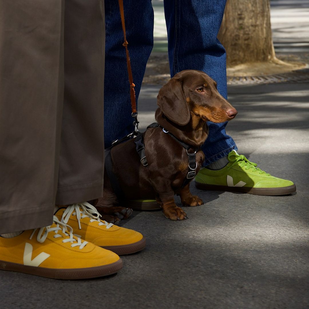 VOLLEY SUEDE DETOX PIERRE EAGLE #5