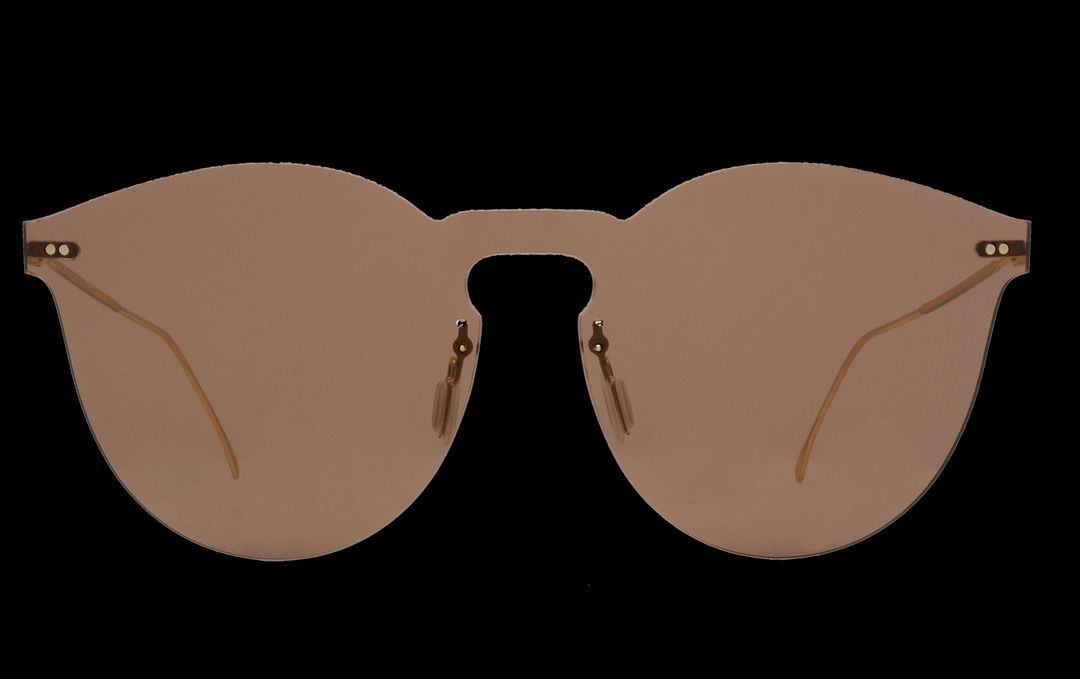 Leonard II Mask Sunglasses #6