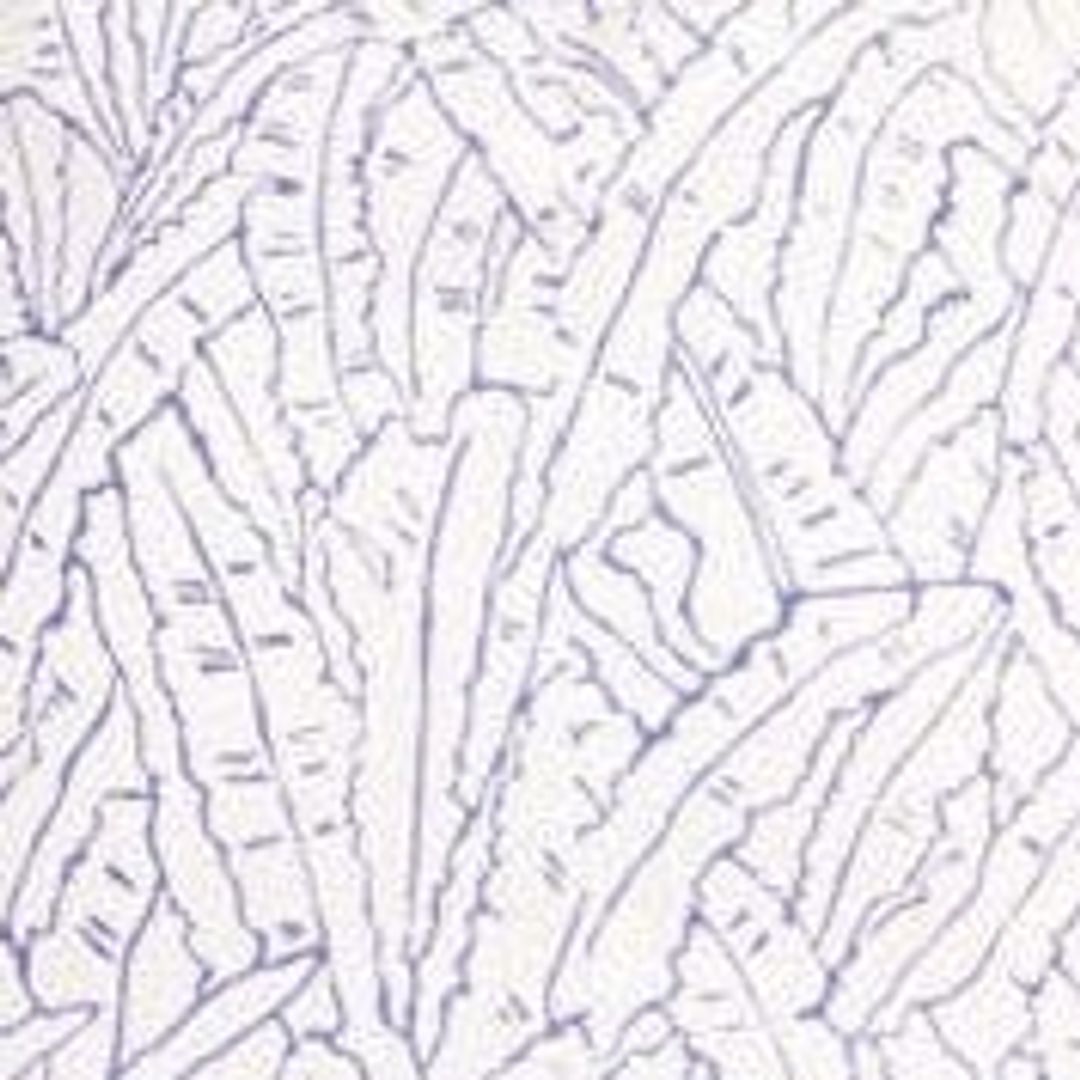 ALIZE PANT | BLUE PALM #5