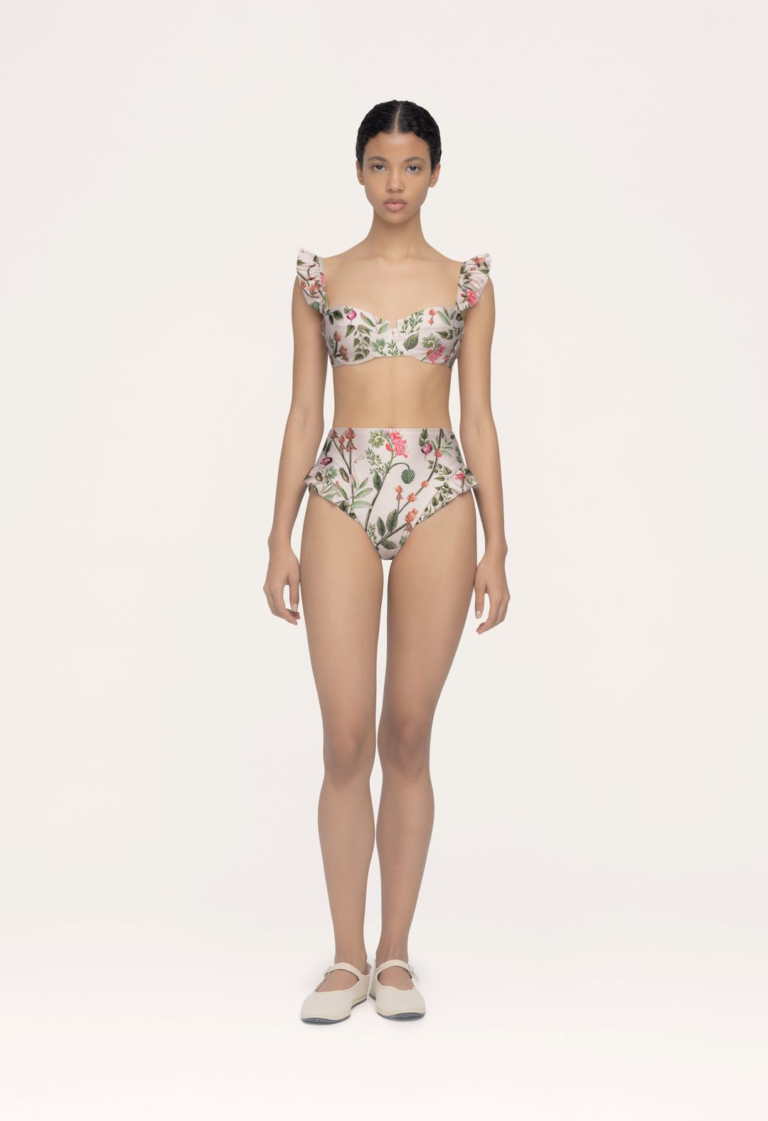 Jengibre Cultivo Bikini Bottom