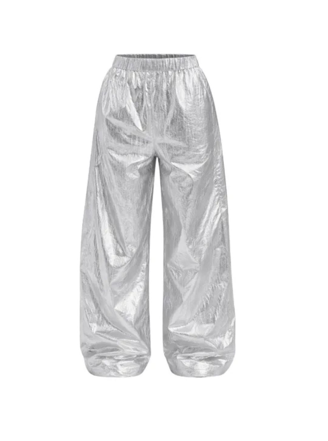 Silver Metallic Nylon Winslow Pant