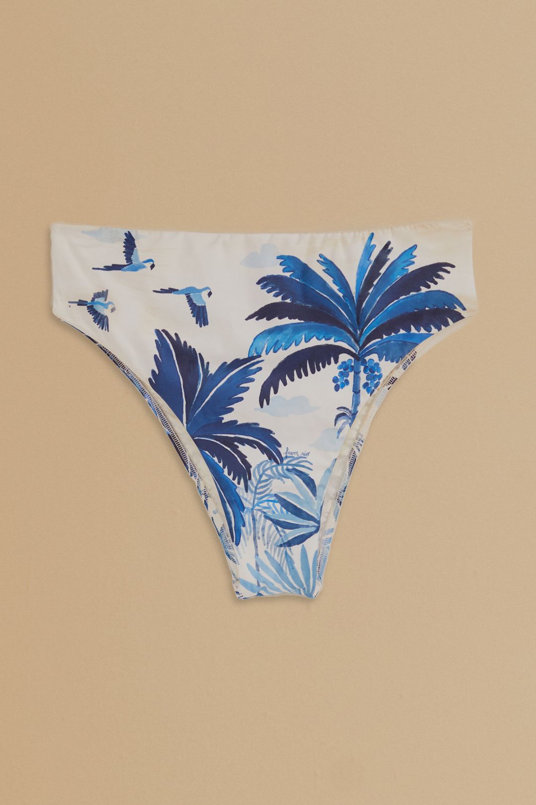 Dream Sky High Waisted Bikini Bottom #4