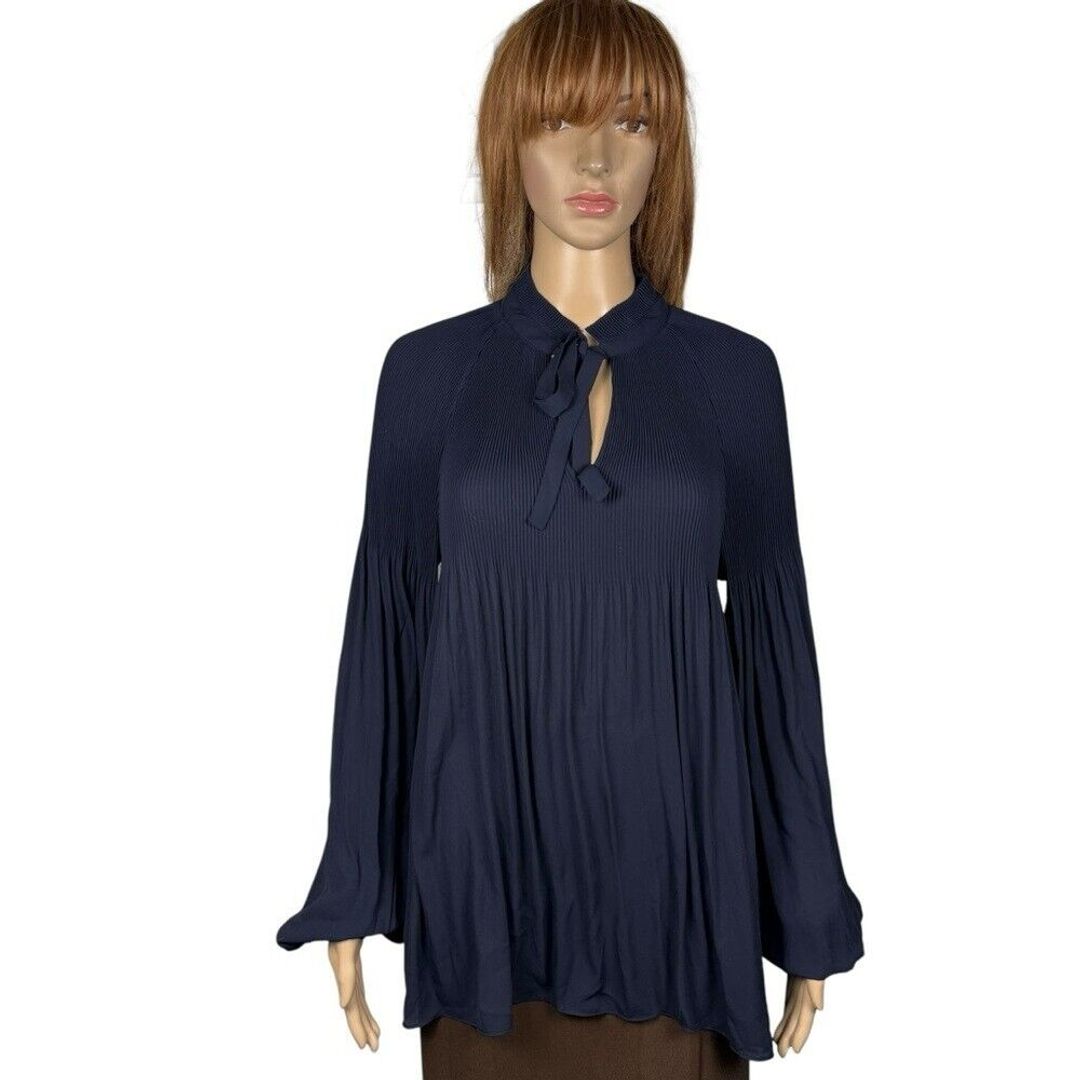 Pleated Georgette Tie-Neck Blouse #3