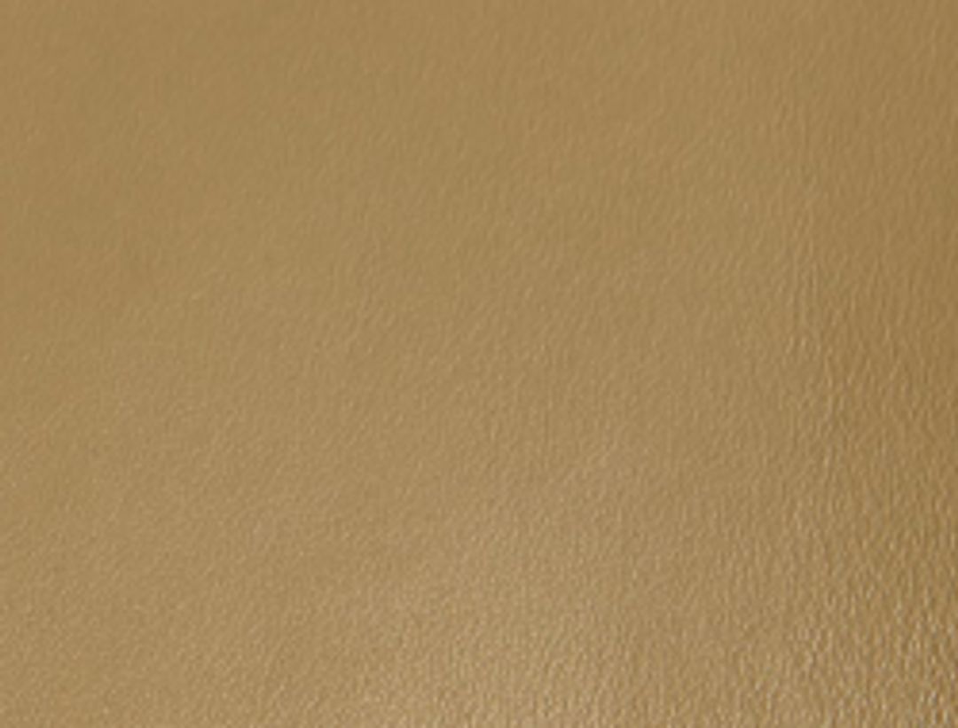 Hamett Jacket in Gold Ochre Leather #7