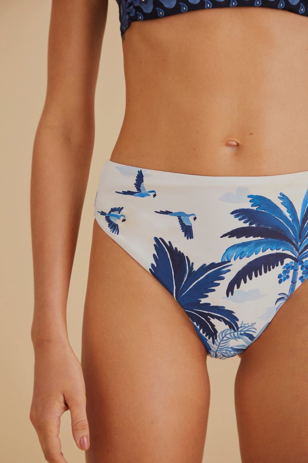 Dream Sky High Waisted Bikini Bottom