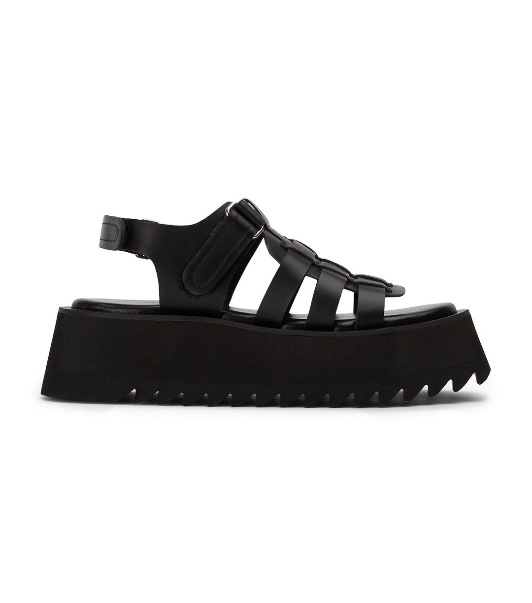 Scout Black Turin #3