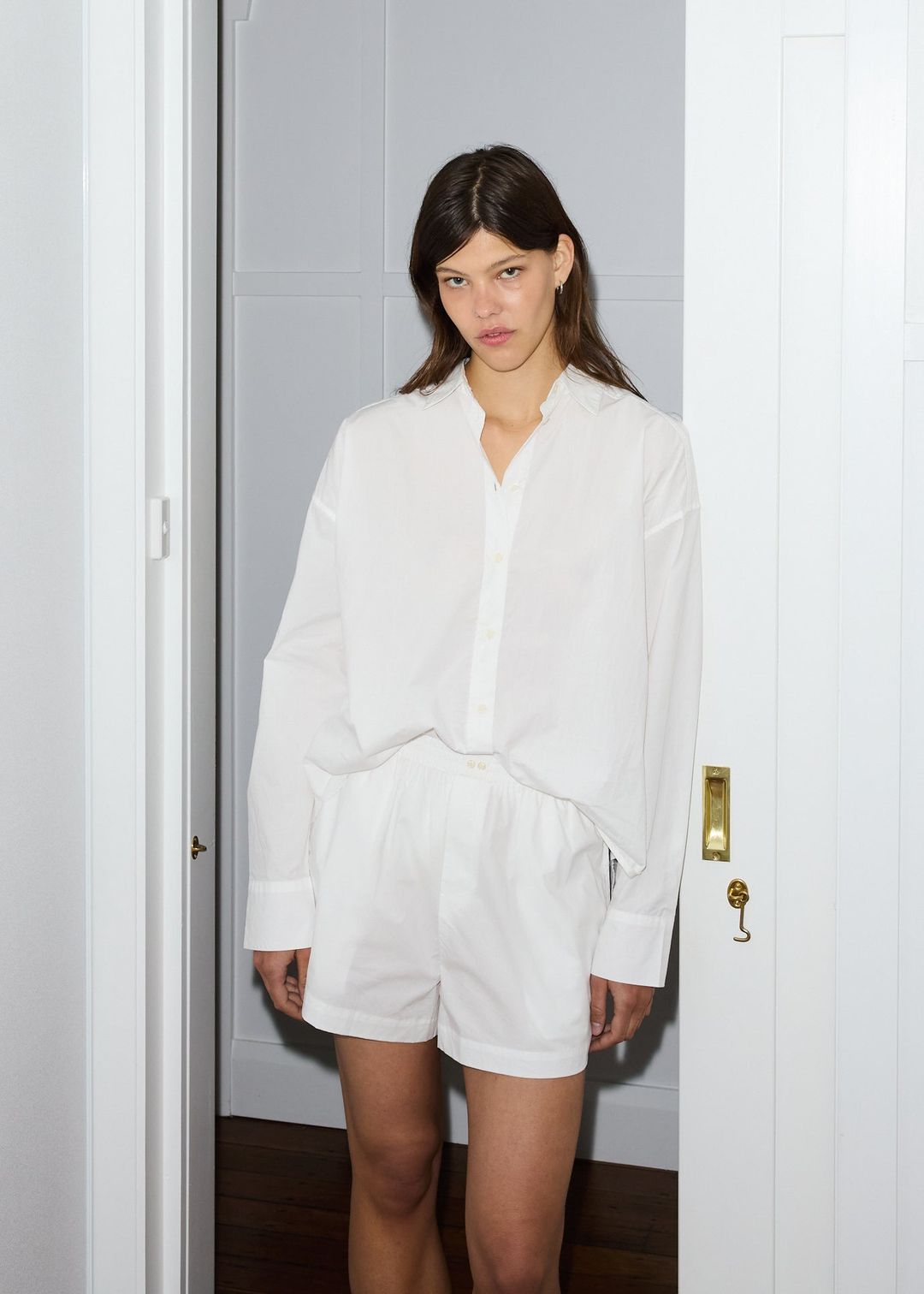 The boxer - white #4