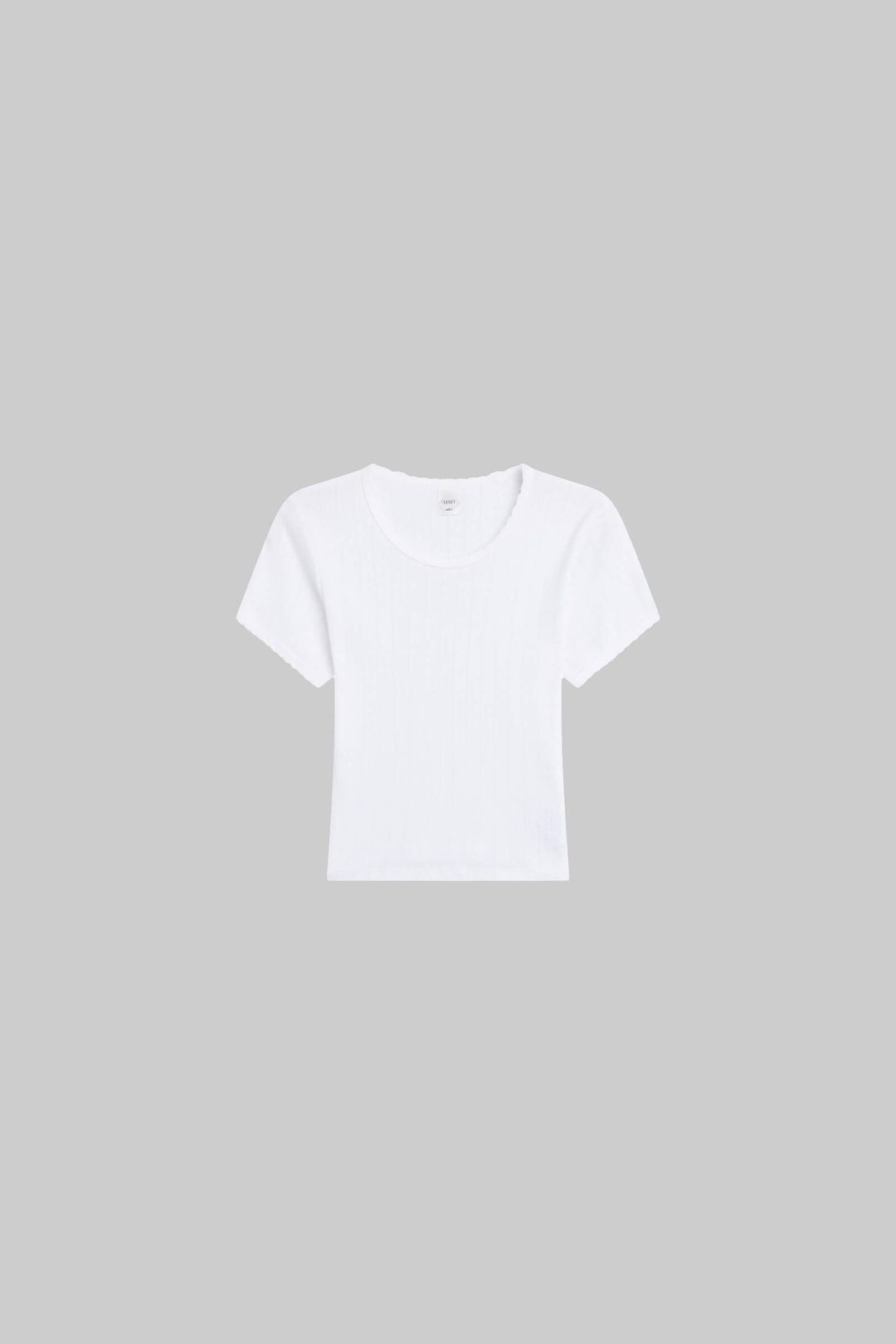 Pointelle Baby Tee