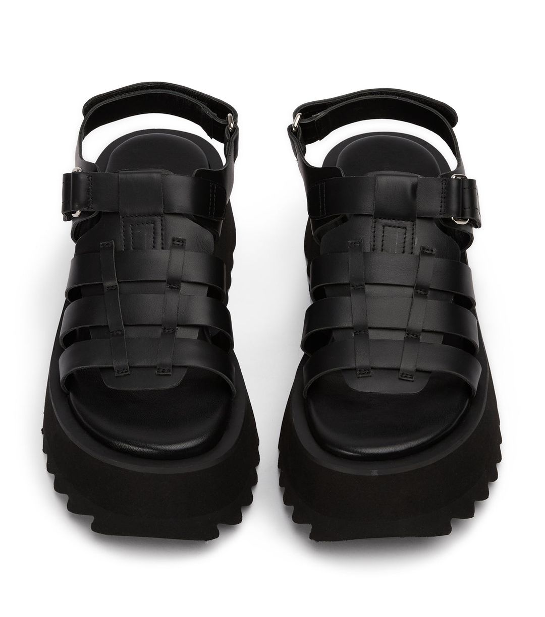 Scout Black Turin #4