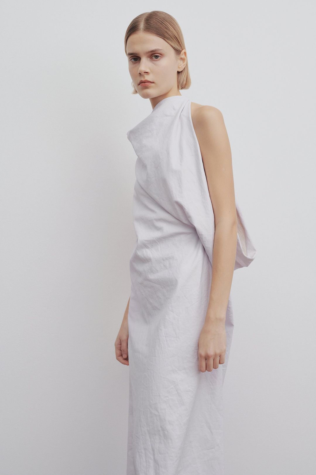 Bemonia Dress in Coated Linen #5